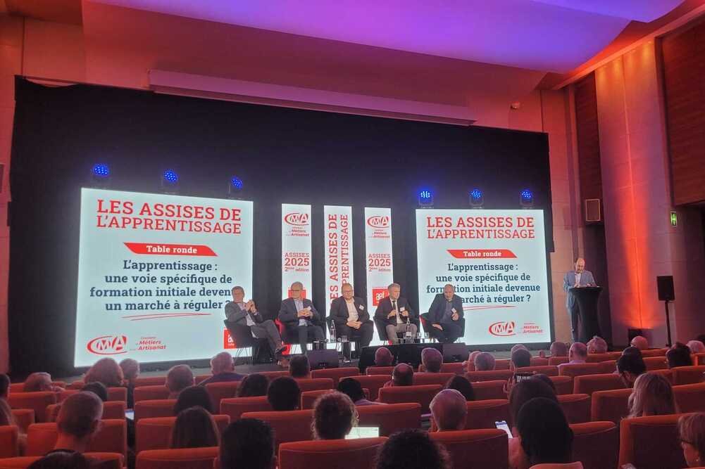 Apprentissage : assurer une meilleure régulation du marché