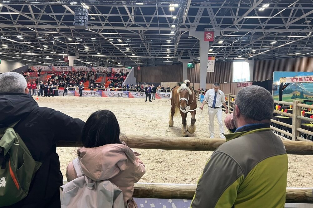 « La formation initiale semble encore un peu ancrée dans un modèle ancien »